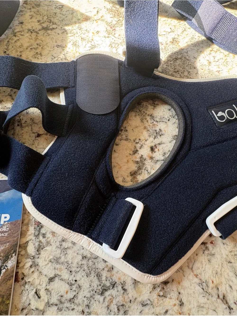 Left Rear Dog Knee Brace - Navy Blue USED